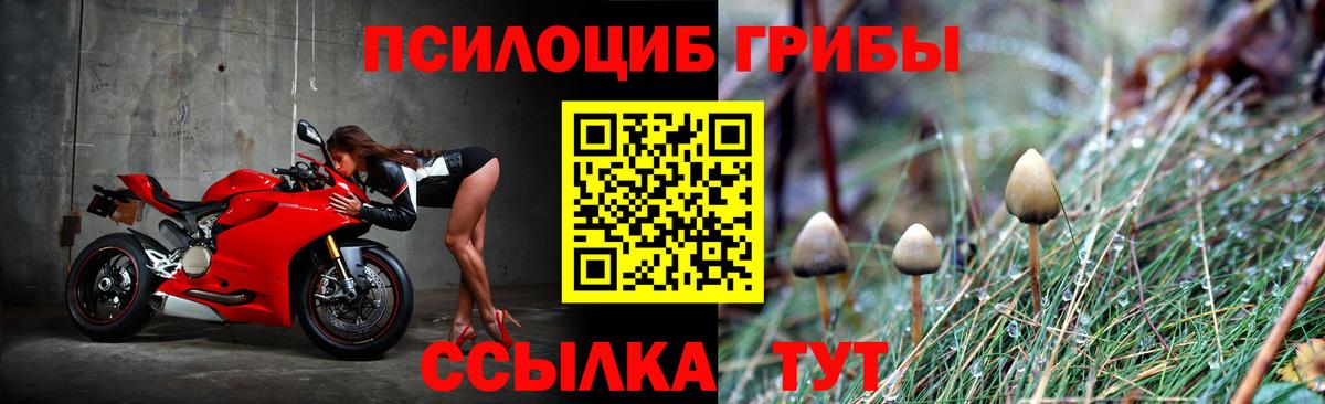 Галлюциногенные грибы мицелий  Вход с VPN  Лесозаводск 